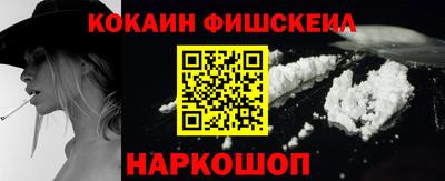 гидра Будённовск