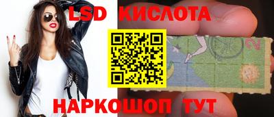 гидра Будённовск