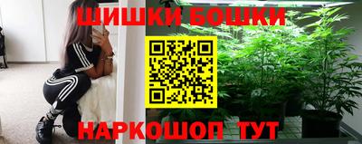 гидра Будённовск