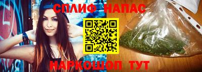 гидра Будённовск