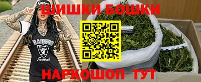 гидра Будённовск