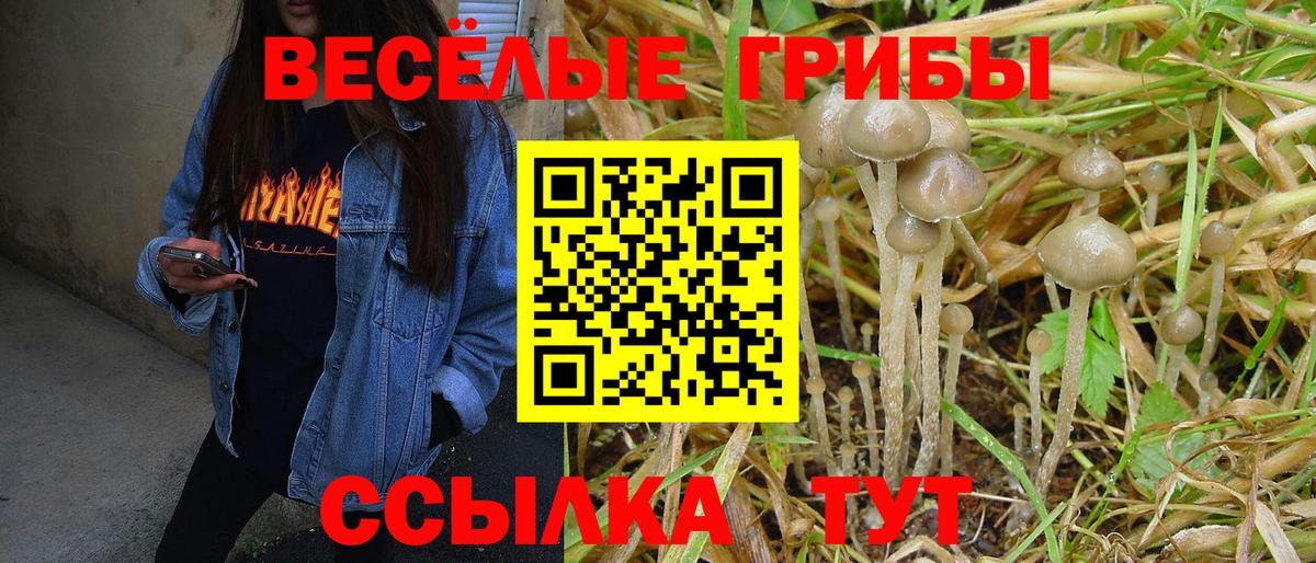 Псилоцибиновые грибы ЛСД Краснокамск